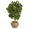 4ft. Schefflera Artificial Tree in Boho Chic Handmade Cotton & Jute Gray Woven Planter (Real Touch)